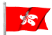 Hong Kong's flag