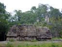 Uaxactun Ruins