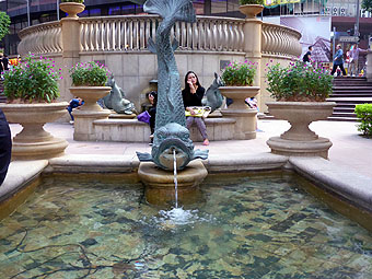 Grand Millennium Plaza