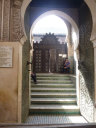 The Medina of Fez