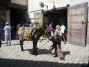 The Medina of Fez