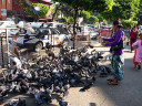 Bogyoke Aung San Road