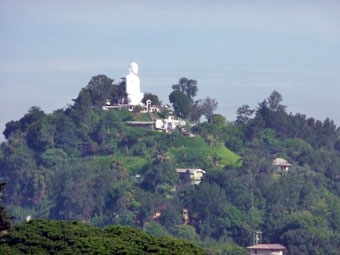 White Buddha Statue