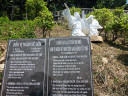 Tao Phung Mountain