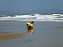 Thuy Van Beach