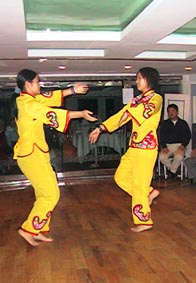 traditional dance show