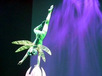 Shanghai Acrobatic Circus