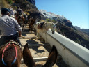 donkey ride from Fira old port