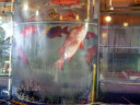 Tung Kee Seafood Restaurant