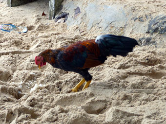 Melayu Beach