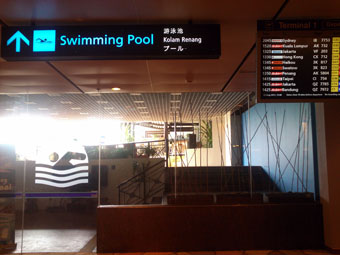 Changi Airport - rooftop swimming pool