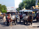 cidomo (horse cart)