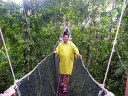 Canopy Walkway