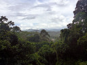 Canopy Walkway