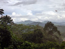 Canopy Walkway