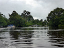 Proboscis Monkey River Cruise and Fireflies Tour