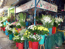 Abastos Central Market