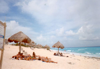 Dolphin Beach