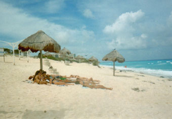 Dolphin Beach