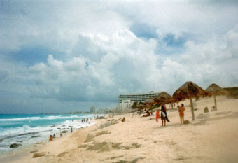 Dolphin Beach