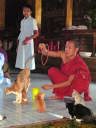 Nga Hpe Chaung (Jumping Cat Monastery)