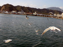 Kino Matsushima Cruise