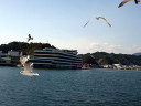 Kino Matsushima Cruise