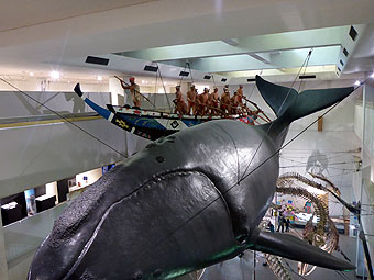 Taiji Whale Museum