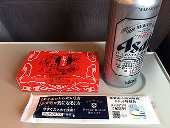 Tokaido Shinkansen Nozomi 213