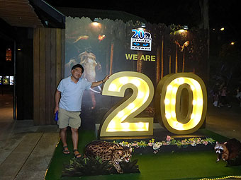 Night Safari