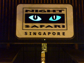 Night Safari