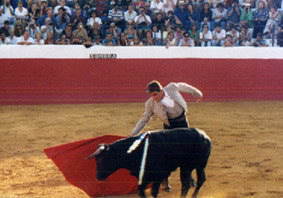 bullfighting in Mijas