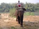 elephant ride