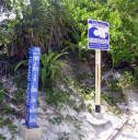 Maya Bay at Phi Phi Ley Island