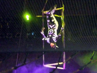 Circus Circus