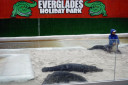 Everglades Holiday Park