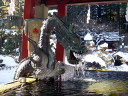 Kitaguchi Hongu Fuji Sengen Shrine